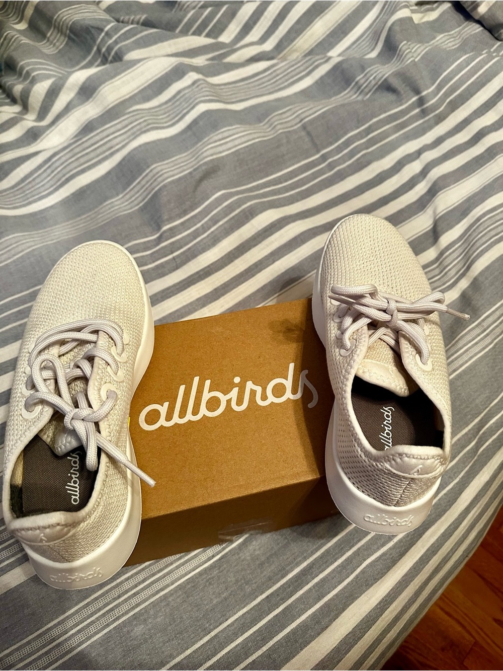 Allbirds Tree Runners